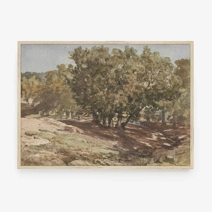 TREES ON CREEK FRAMED ART PRINT, VARIOUS SIZES