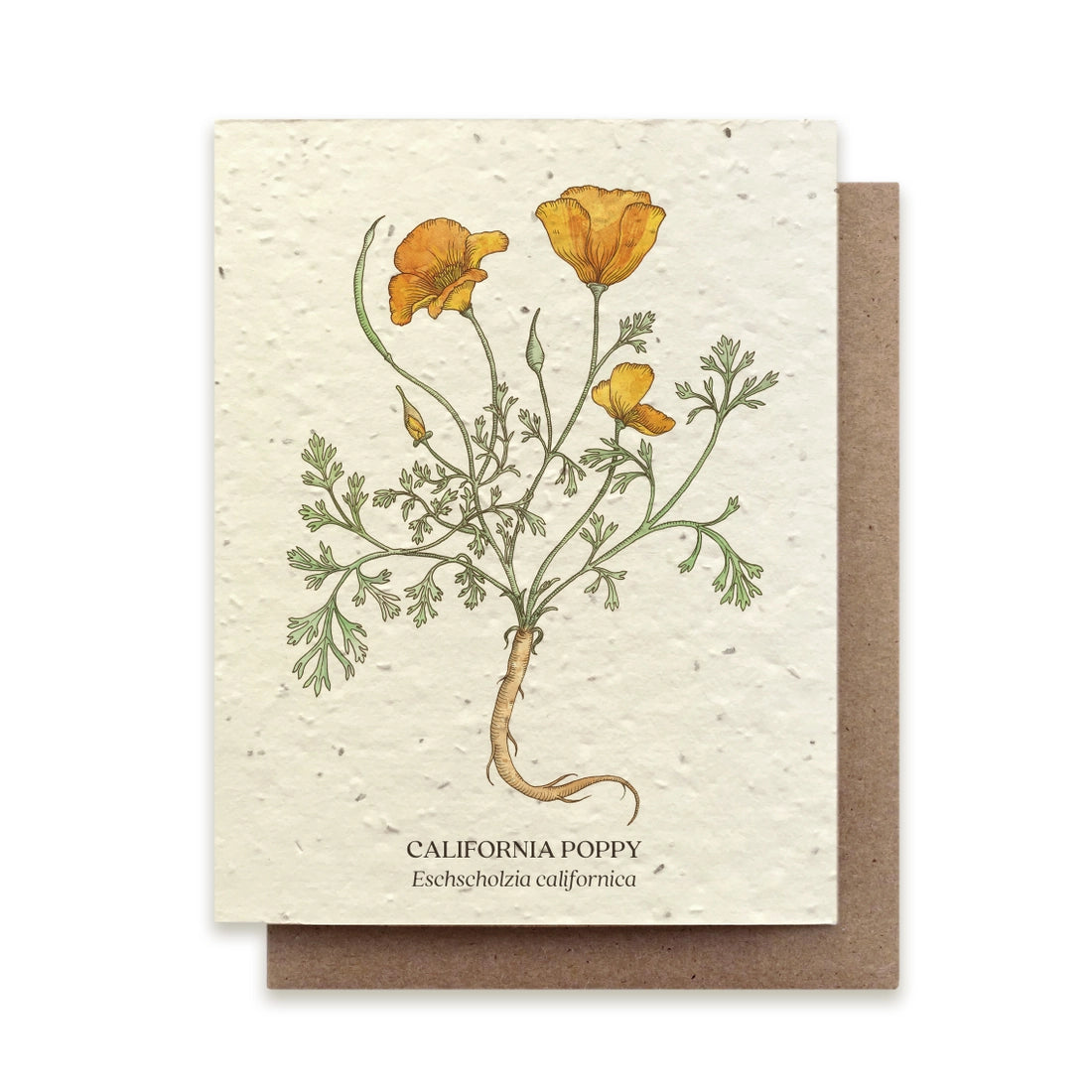 PLANTABLE SEED CARD- SET OF 4