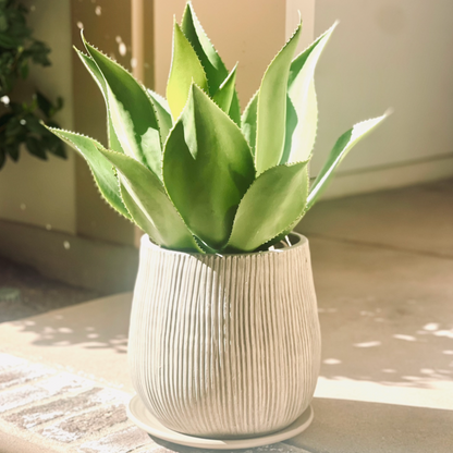 HOLT LINEAR CERAMIC POT- VARIOUS SIZES