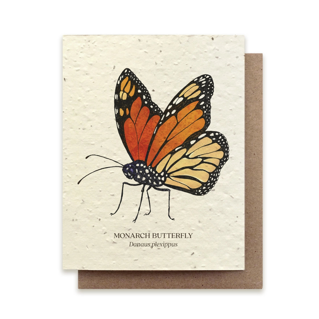 PLANTABLE SEED CARD- SET OF 4