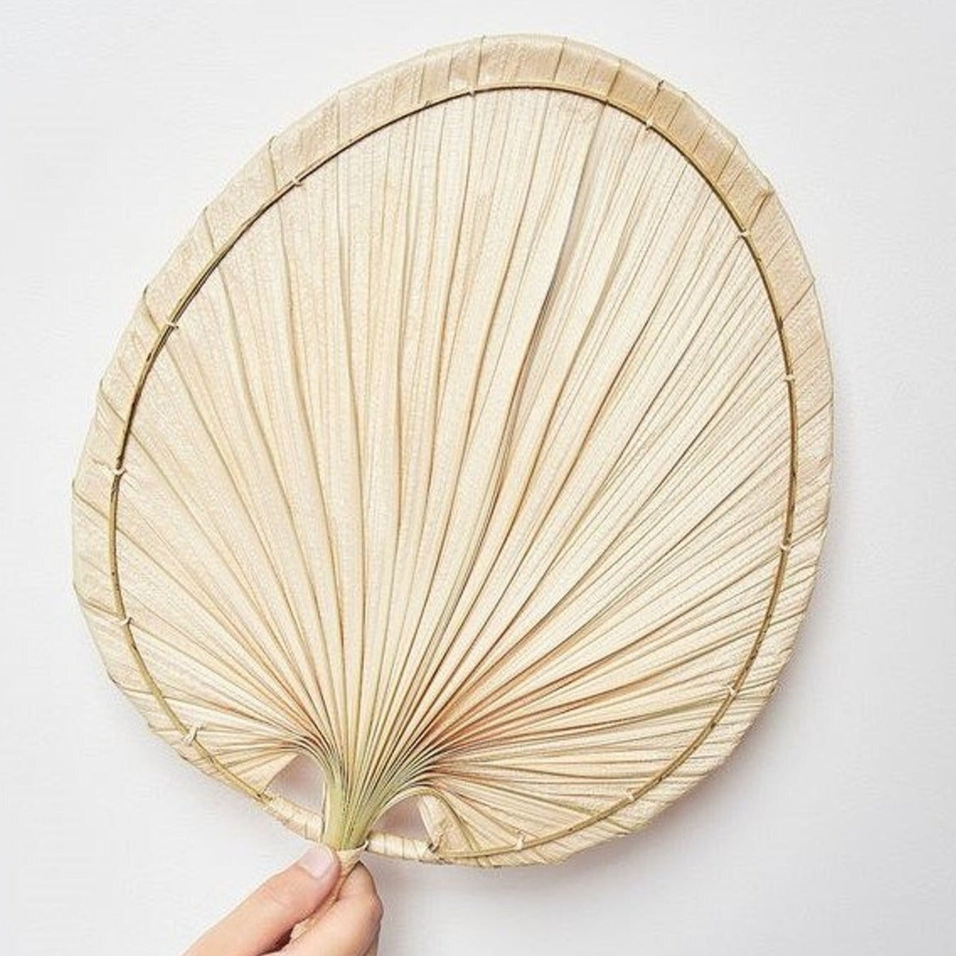 NATURAL PALM LEAF FANS, SET OF 2