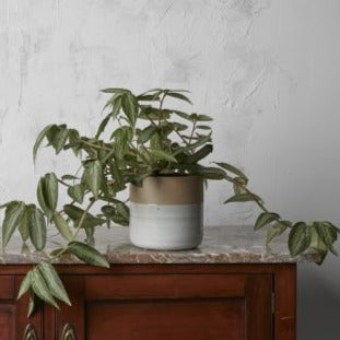 STONEWARE SPECKLED GLAZE POT